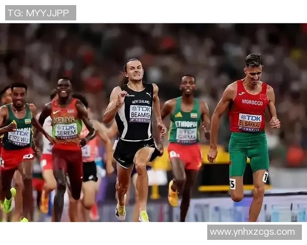 竞技体育背后的残酷真相 揭示高压环境下的拼搏与牺牲