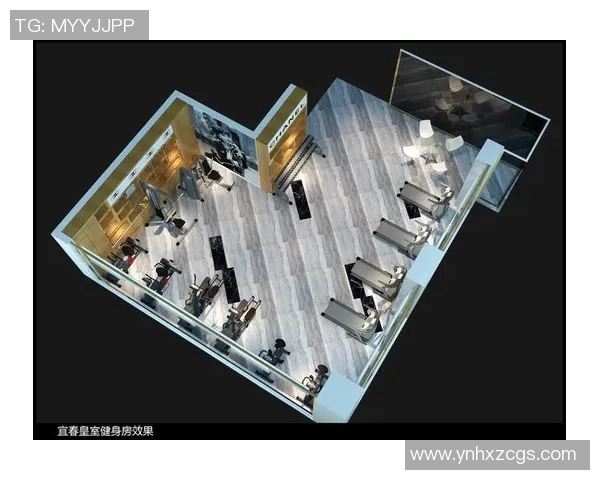 辉煌健身器材公司背景与产品评价总结
