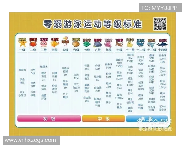 零基础游泳入门指南：从水性适应到技巧提升的全方位教学与训练方法