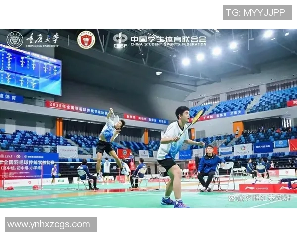 南京羽毛球队比赛经验分析及其对未来表现的影响研究 南京羽毛球队比赛经验分析及其对未来表现的影响研究